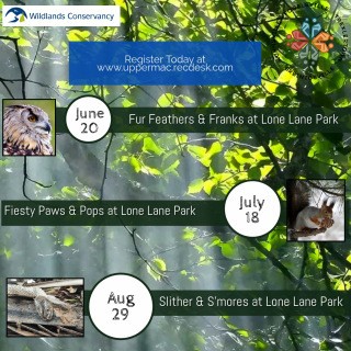 Wildlands news story